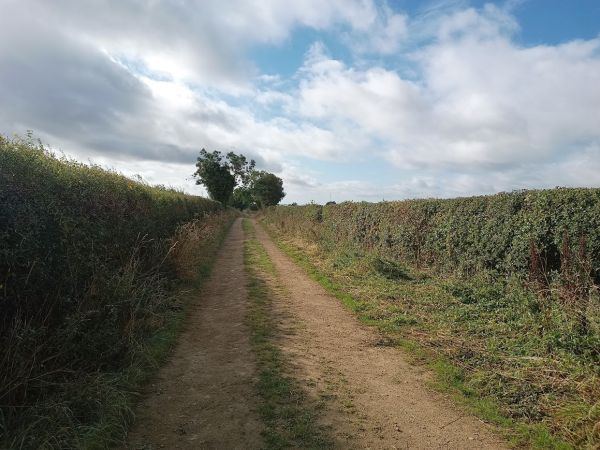 Bottomfields Lane
